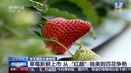 草莓草莓视频,探寻草莓种植的奥秘与魅力